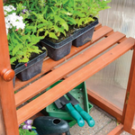 Rowlinsons Hardwood Mini Greenhouse