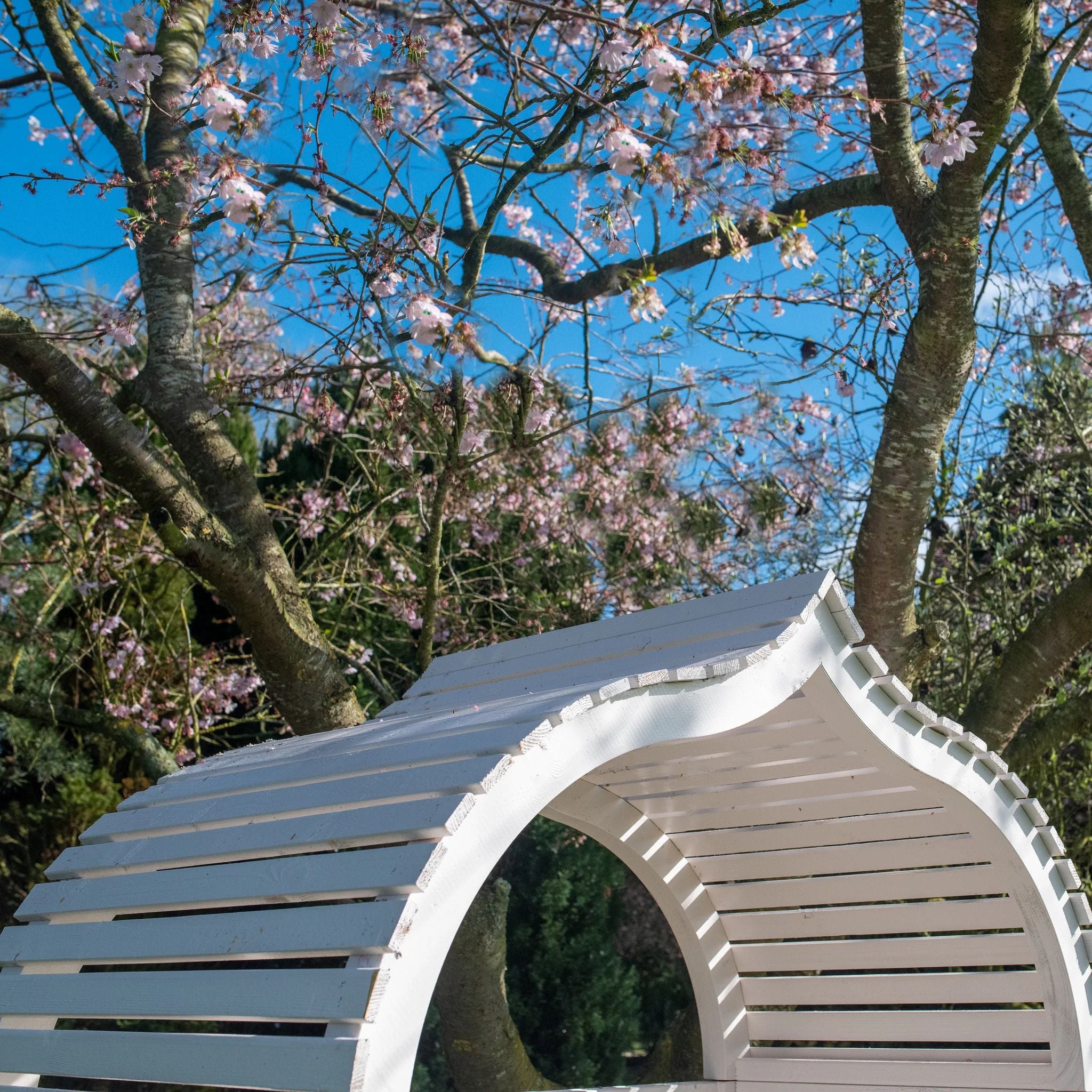 Shire Bejoda Arbour – Elegant & Durable Pressure-Treated Garden Seating | Garden Life Stores