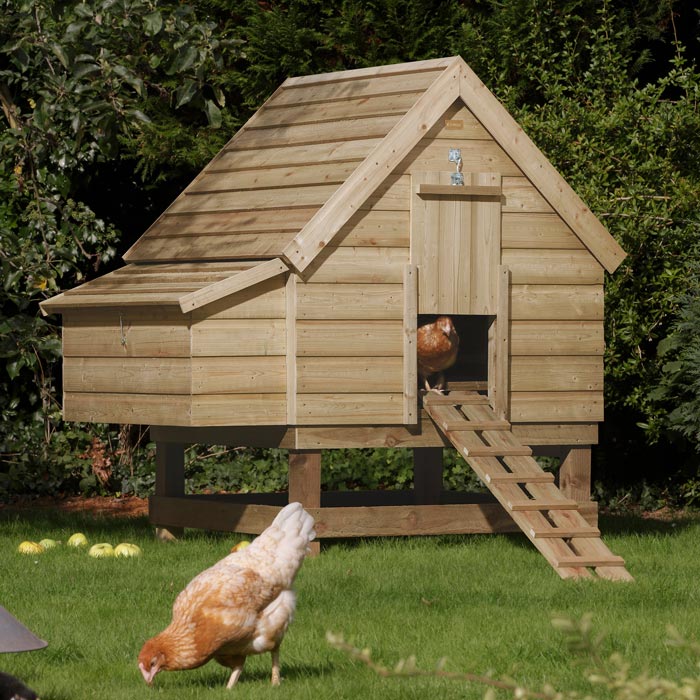 Rowlinson Large Chicken Coop