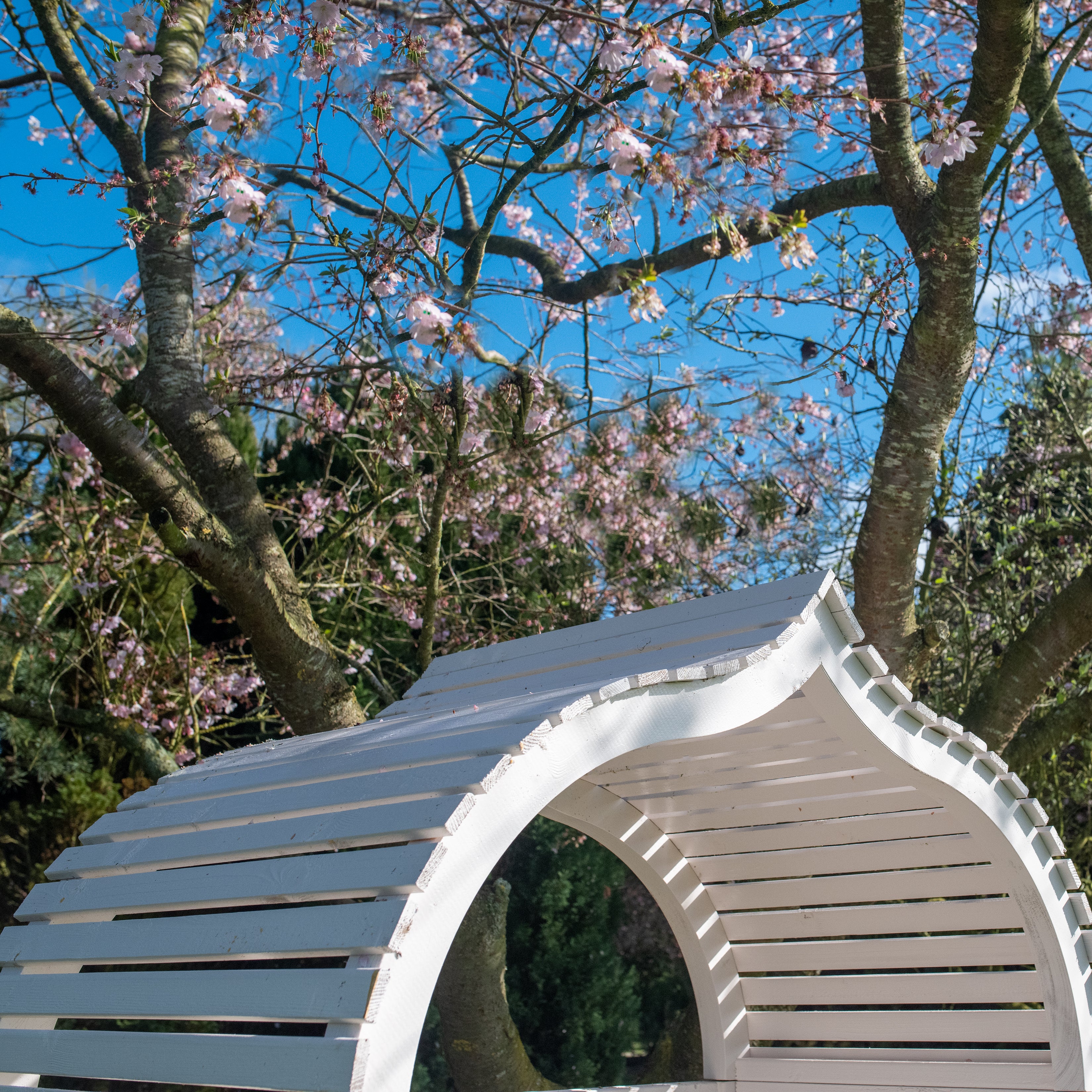 Shire Bejoda Pressure Treated Arbour