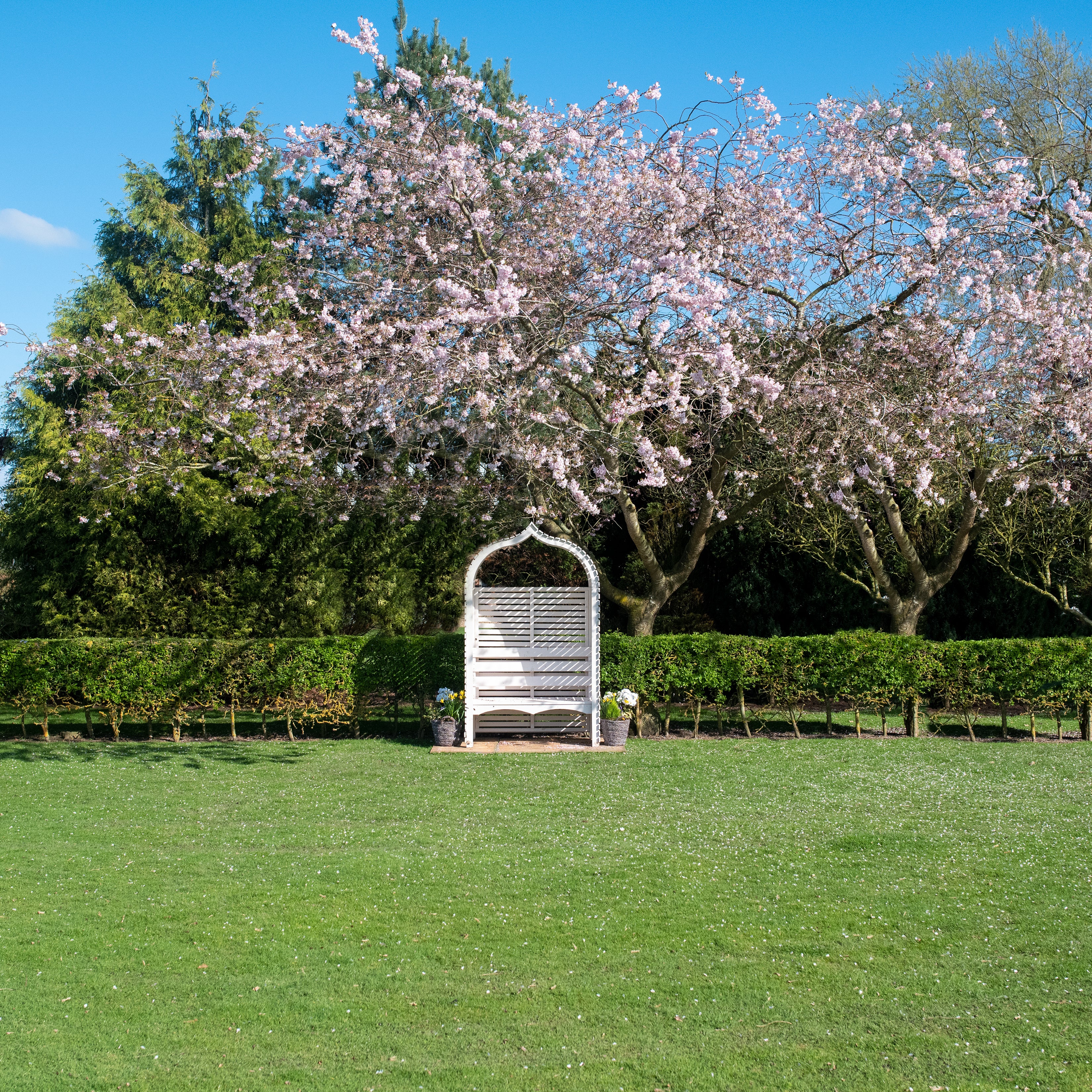 Shire Bejoda Pressure Treated Arbour