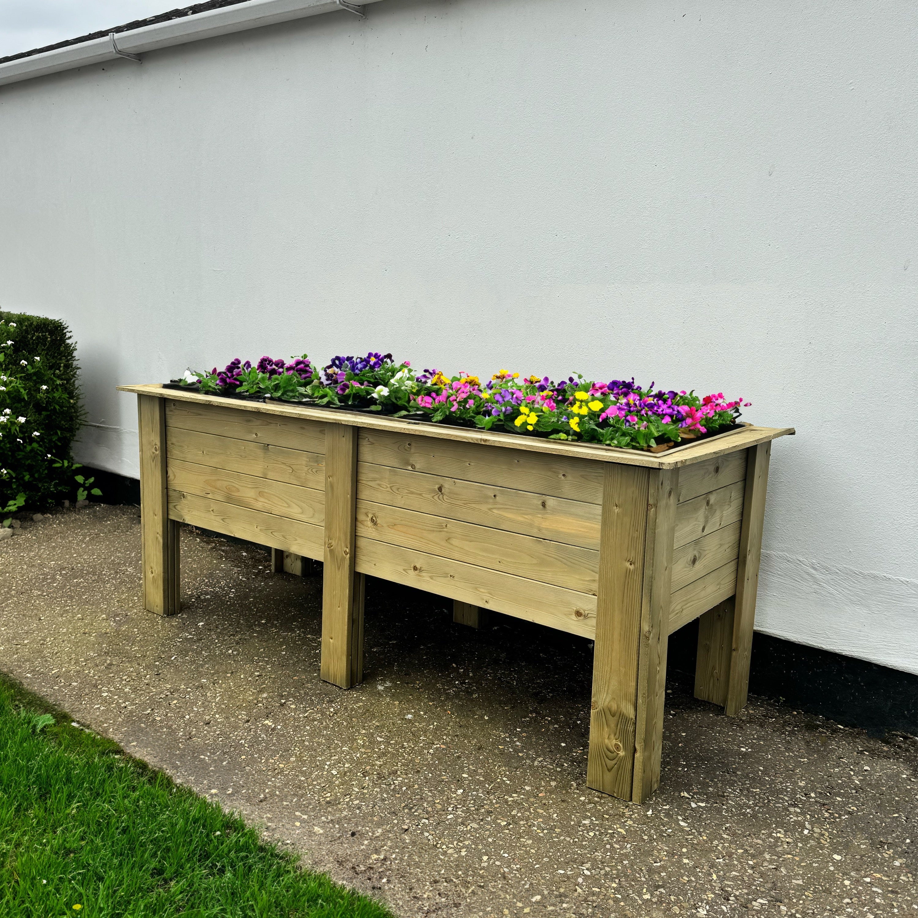 Shire Bloom Deep Planter 6x2