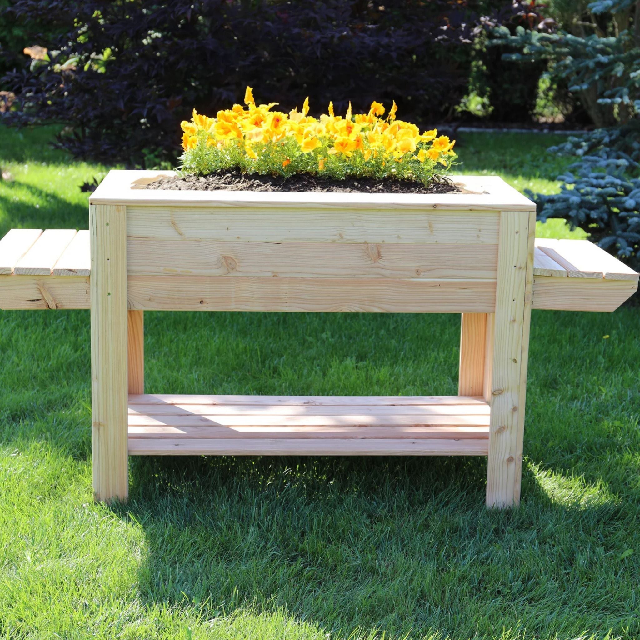 Shire Ron Larch Planter