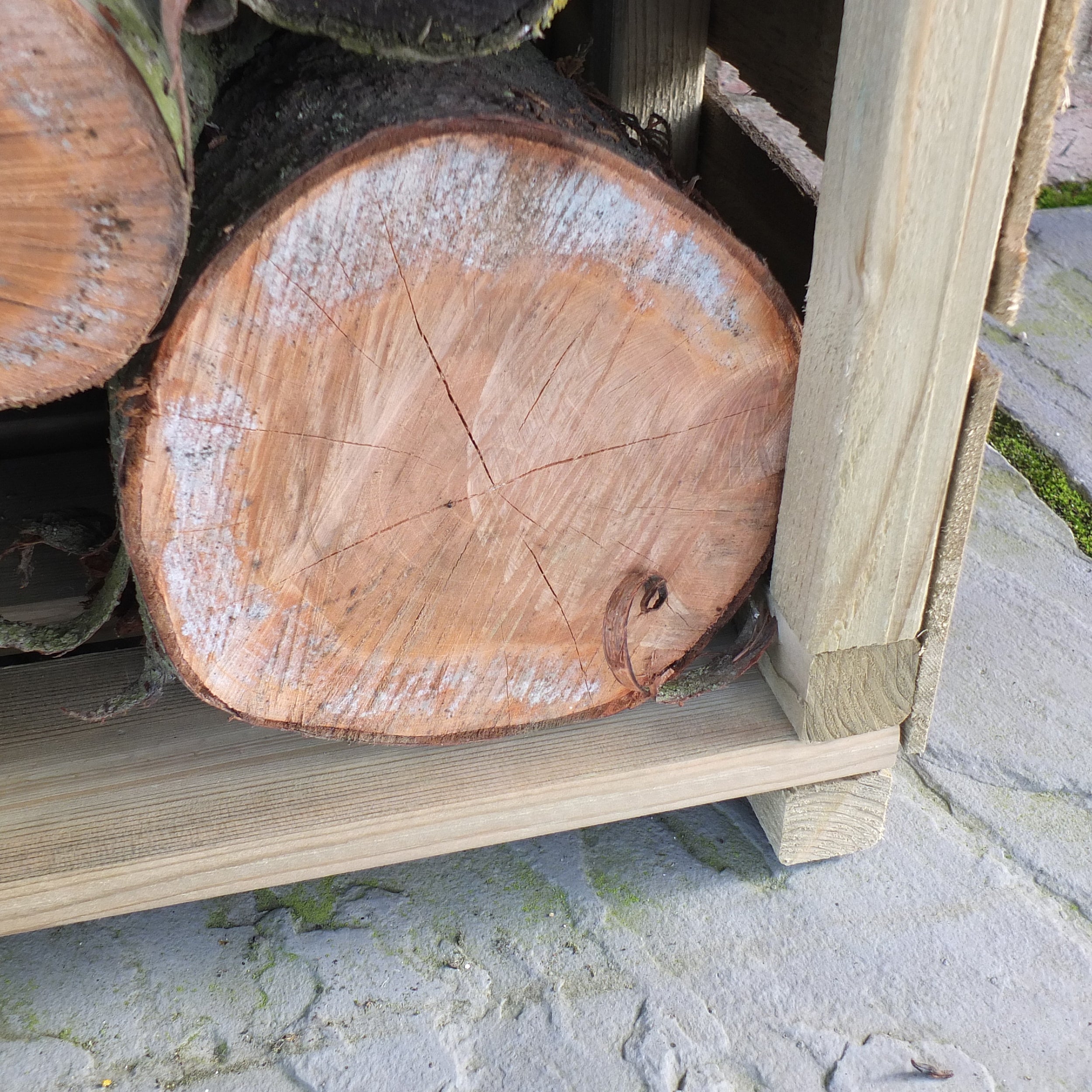 Shire Tall Wall Log Store - Sawn Timber - Pressure Treated