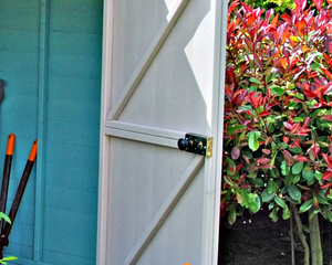 Shire Sun Pent Shed 6x6